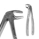 Lower Premolar Extraction Forcep