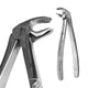 Lower Molar Extraction Forcep
