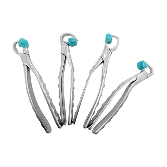 Physics Forceps (Molar Series)