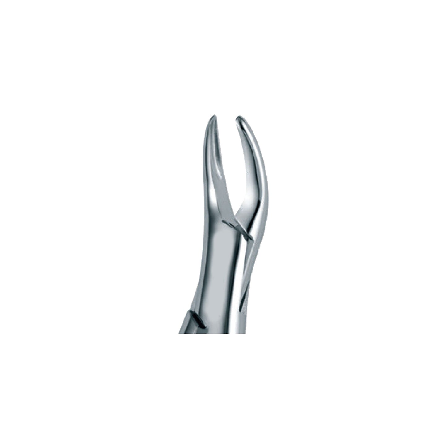 Tomes Extraction Forceps