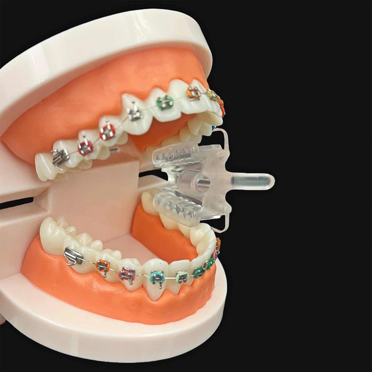 Dental Saliva Ejector Holder with Bite Block