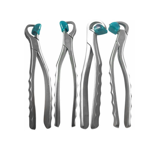 Physics Forceps (Molar Series)