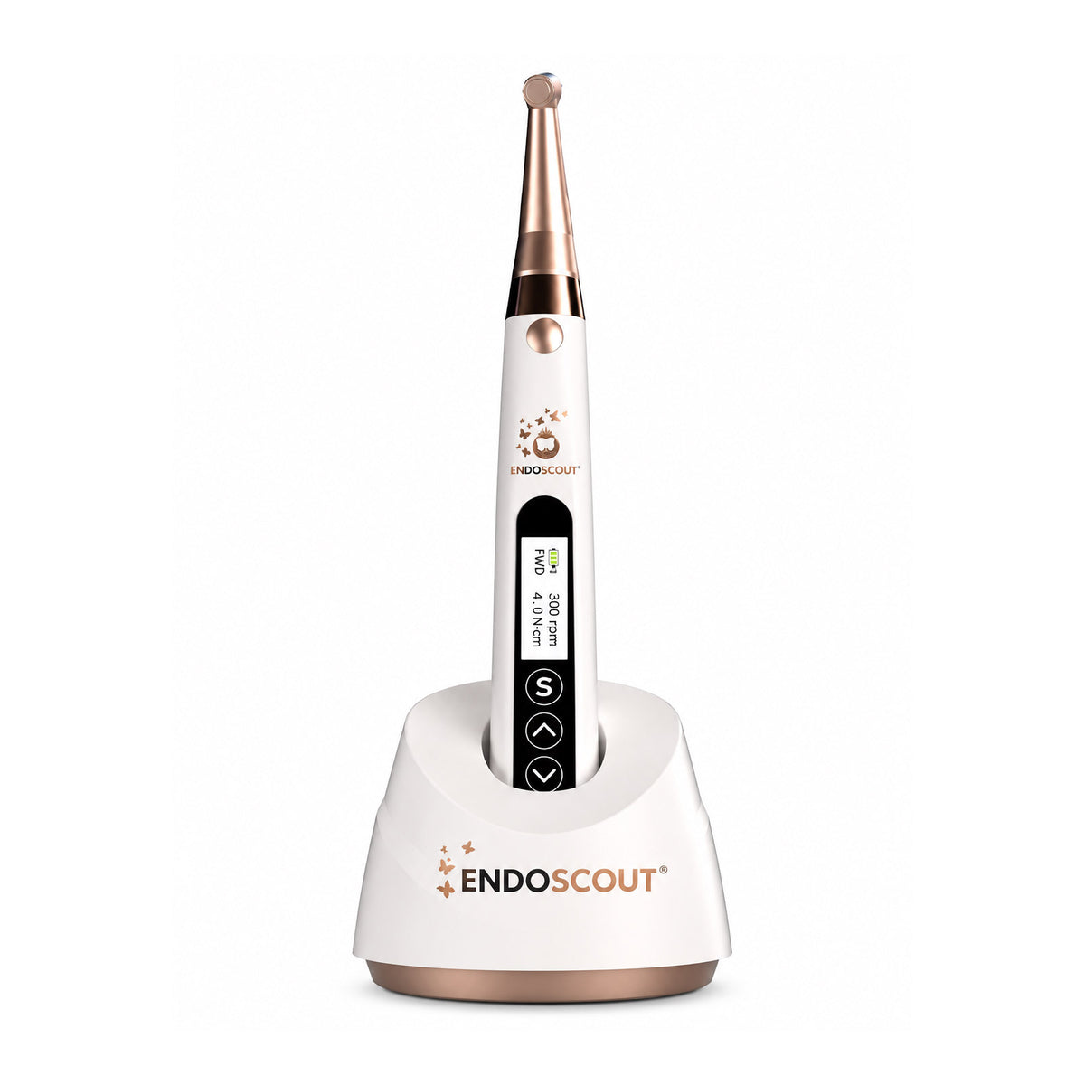 Dentcity - EndoScout - Endo Motor With Built-in Apex Locator