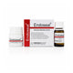 Prevest Denpro - Endoseal Root Canal Obturation Cement